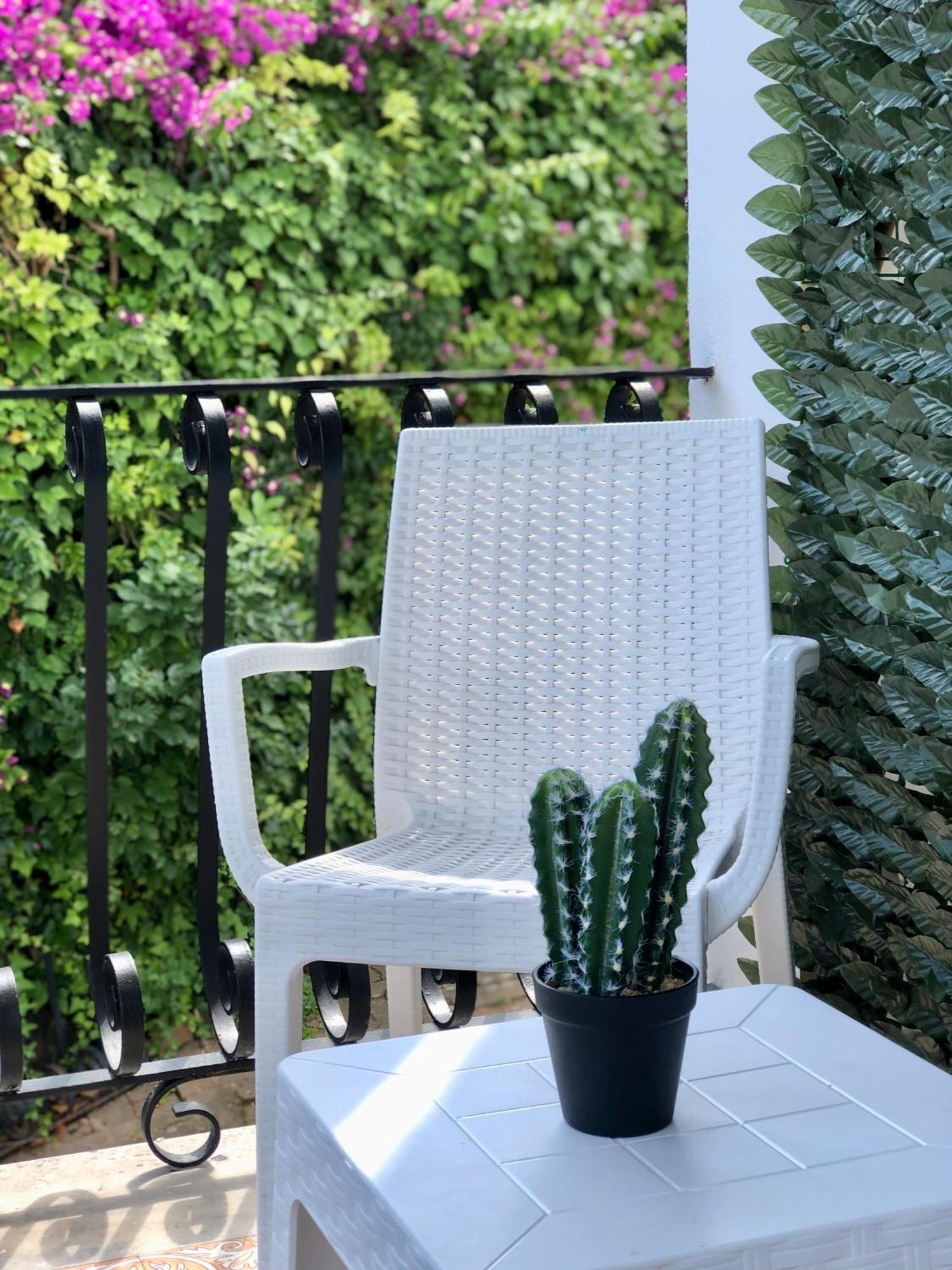 איסקיה Villa Rosa Rooms מראה חיצוני תמונה